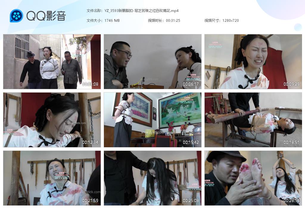 YZ_3593新胭脂扣-易芝苦难之红色玫瑰花