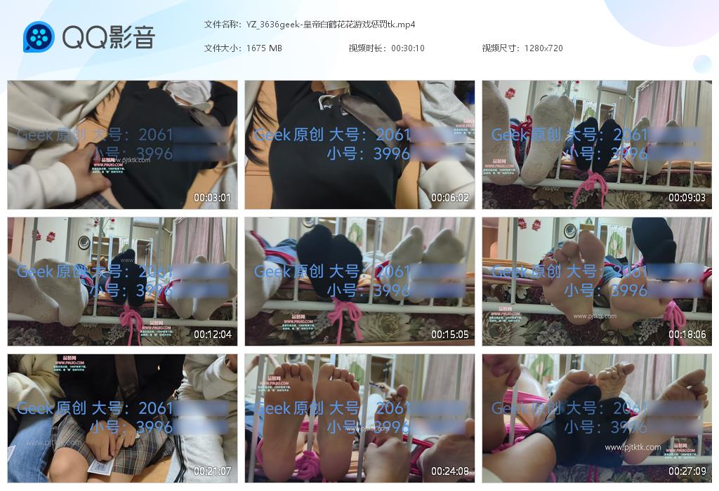 YZ_3636geek-皇帝白鹤花花游戏惩罚tk