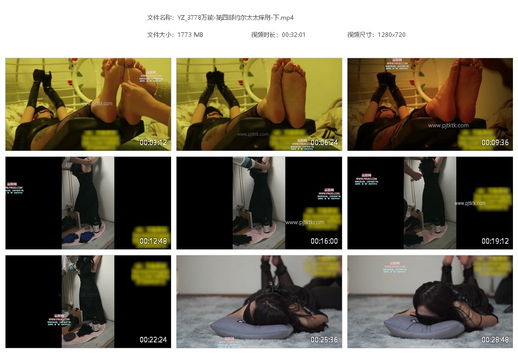 YZ_3778万能-第四部约尔太太痒刑-下
