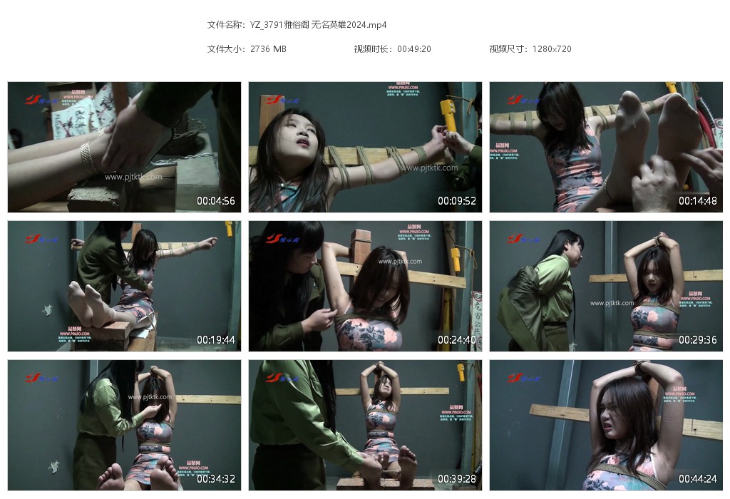 YZ_3791雅俗阁 无名英雄2024